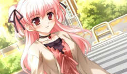 日本动漫女生,日本动漫女生形象解析